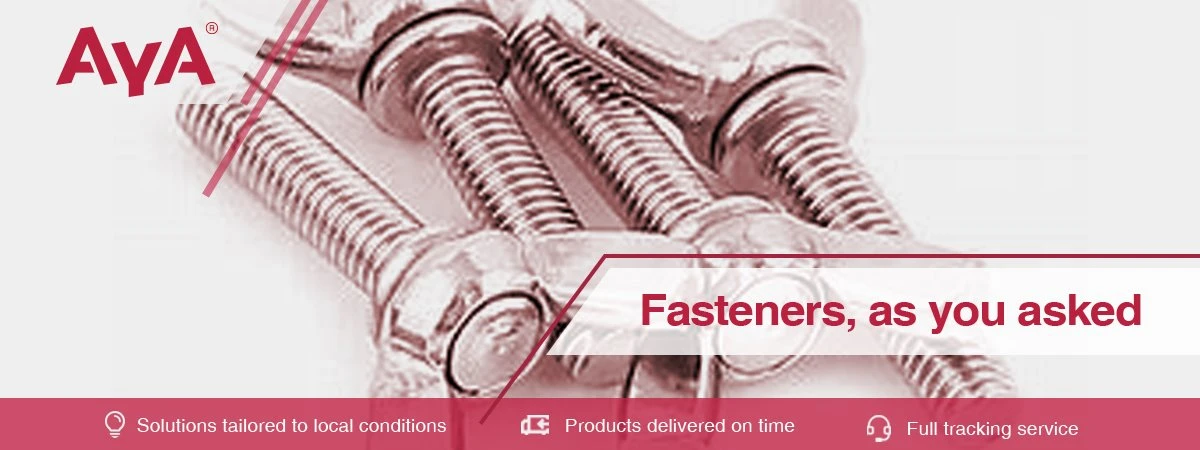 Stainless Steel Wing Screw-AYA