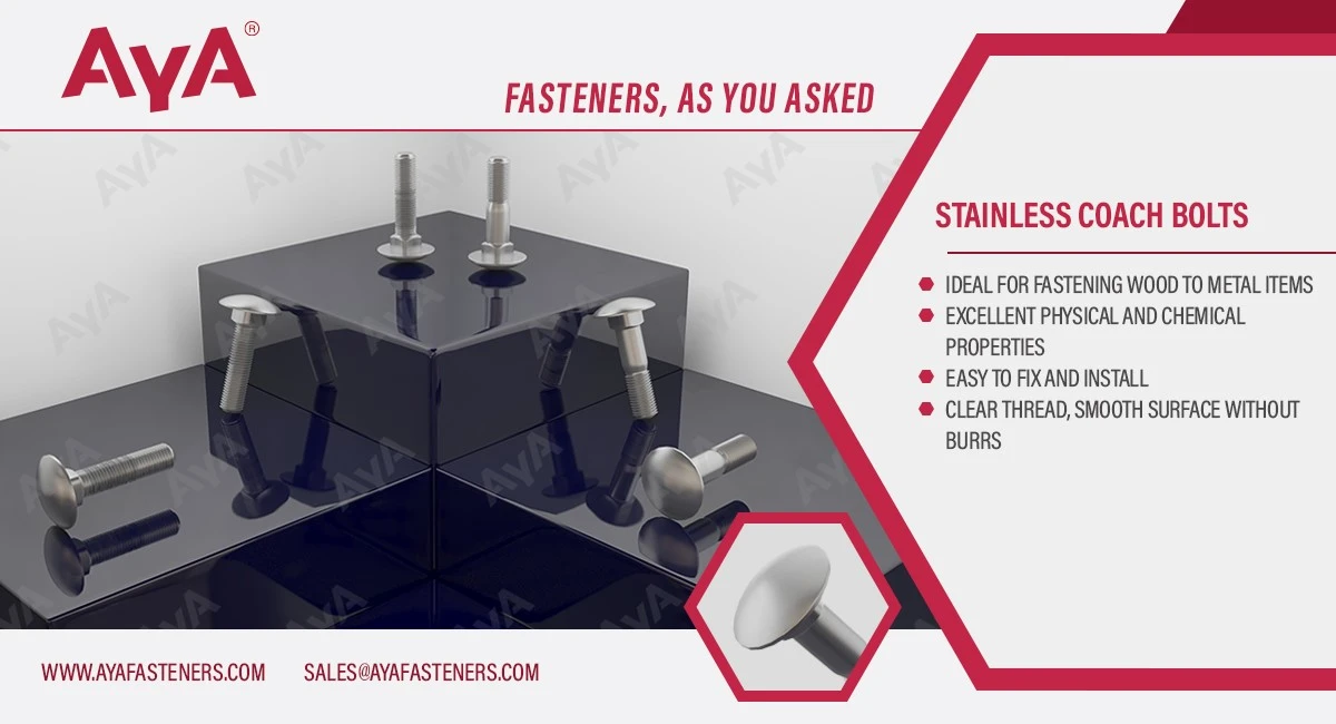 AYA Stainless Coach Bolts AYA Stainless Coach Bolts