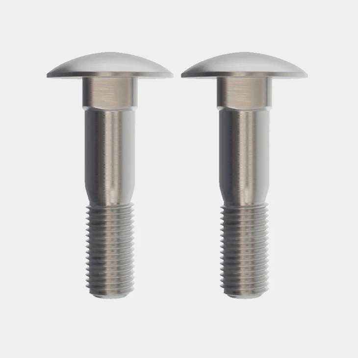Stainless Coach Bolts-AYA BOLTS