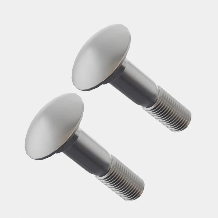 Stainless Coach Bolts-AYA